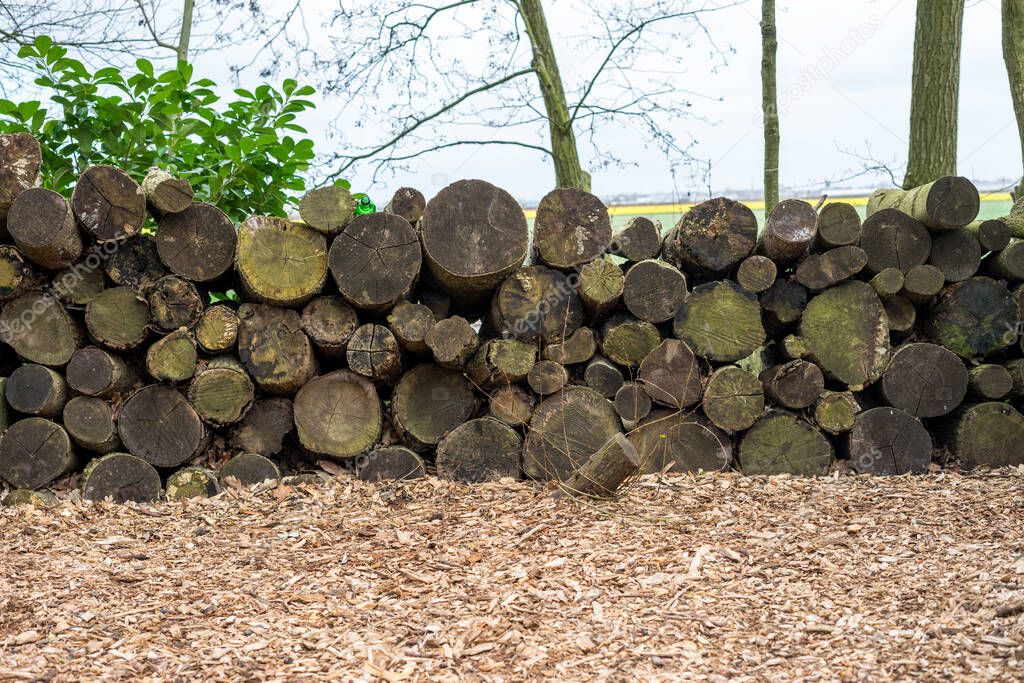 Flower garden, Netherlands, Europe, a pile of broccoli sitting on a rock wall