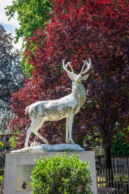 Köln, Almanya - 21 Mayıs 2018: Köln, Almanya 'daki Geyik Heykeli Hayvanat Bahçesi' nden
