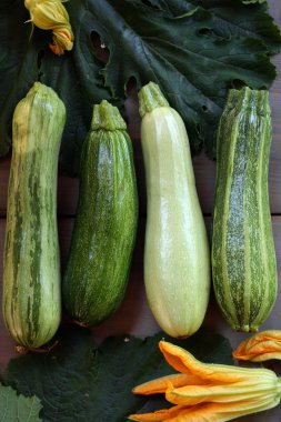 taze yeşil kabak 