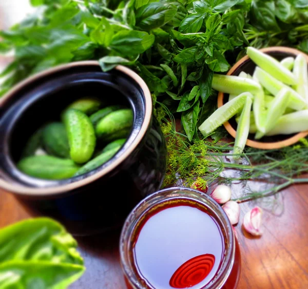 Preparation of pickled cucumbers — Stock Photo, Image