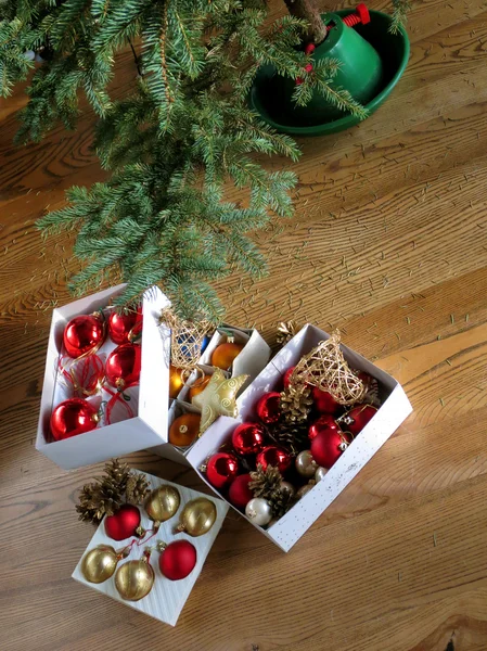 Noel ağacı Tatil sezonundan sonra kurudu.