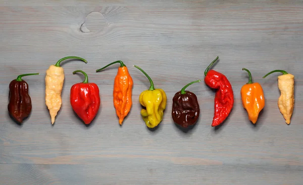 Assorted fresh organic red chili peppers, habanero,colorful red — Stock Photo, Image