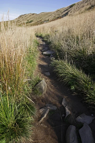 Bieszczady Dağlar. Polonya