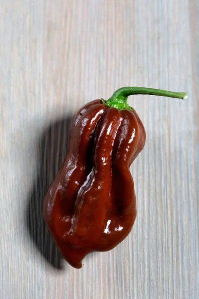 Habanero chocolate on wooden background — Stock Photo, Image