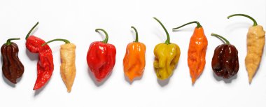 Assorted fresh organic peppers clipart