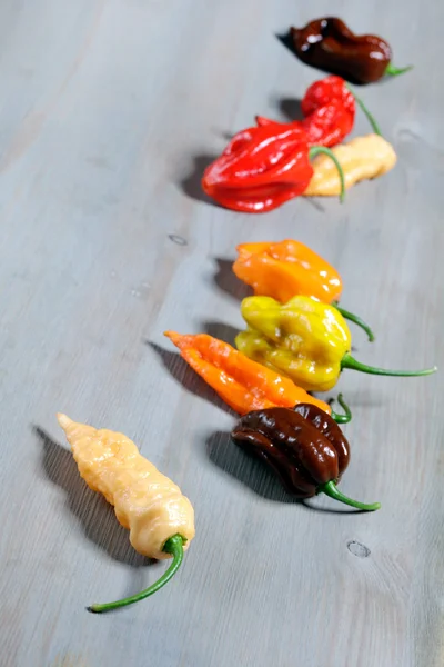 Assorted fresh organic peppers — Stock Photo, Image