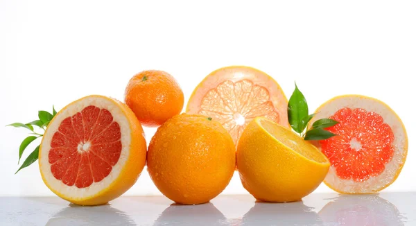 Citrus fruits isolated on white — Stock Photo, Image