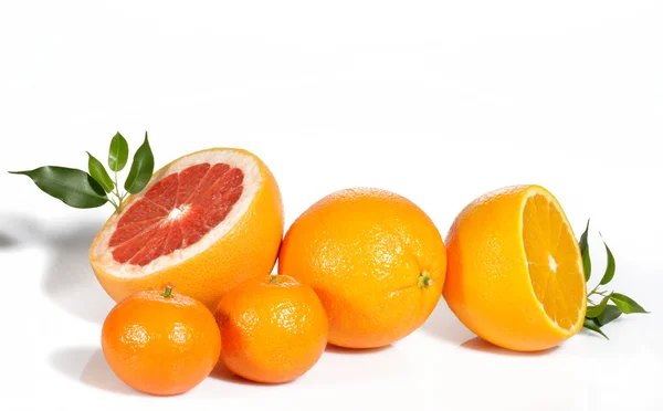 Citrus fruits isolated on white — Stock Photo, Image