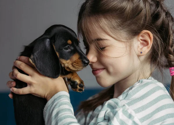 Küçük kız kucağında bir dachshund köpeği, çocuk ve hayvan sevgisi konsepti.