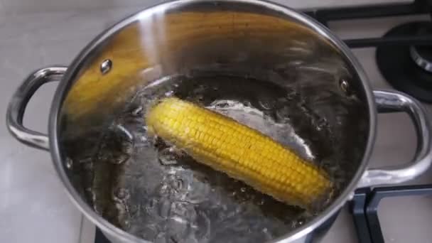 トウモロコシを鍋で茹でて. — ストック動画