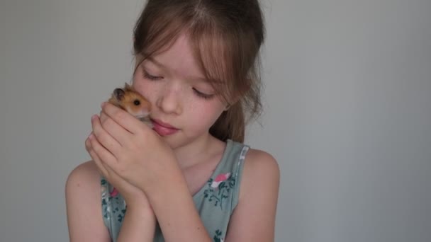 Malá roztomilá dívka drží křečka v náručí, hraje si s ním — Stock video