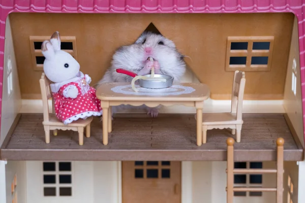 Lindo hámster comiendo espaguetis de una sartén en una casa de muñecas de juguete —  Fotos de Stock