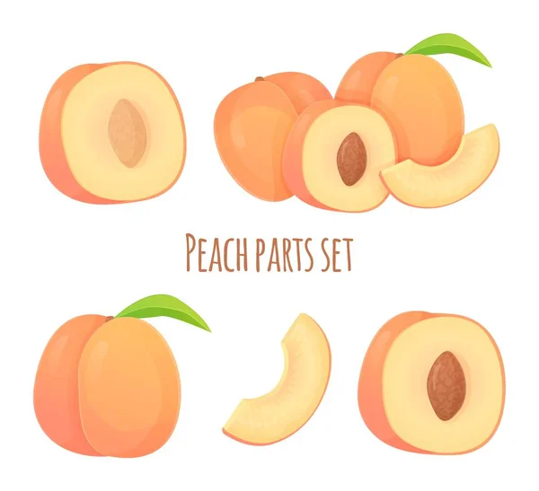 Набор персиков разной формы, ломтик, половина с семенами и без, цельные фрукты. Можно использовать здоровое питание, экологически чистую пищу. Векторная иллюстрация в реалистичном мультипликационном стиле — стоковый вектор