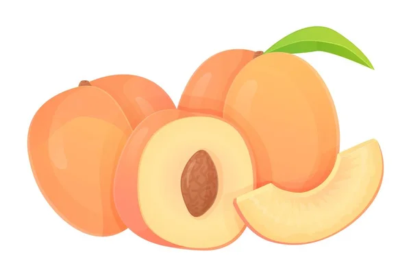 Collection of peaches in different shapes, slice, half with seed, whole fruit. Can be used for healthy diet, harvest natural eco food concept. Stock vector illustration in realistic cartoon style. — Stock Vector