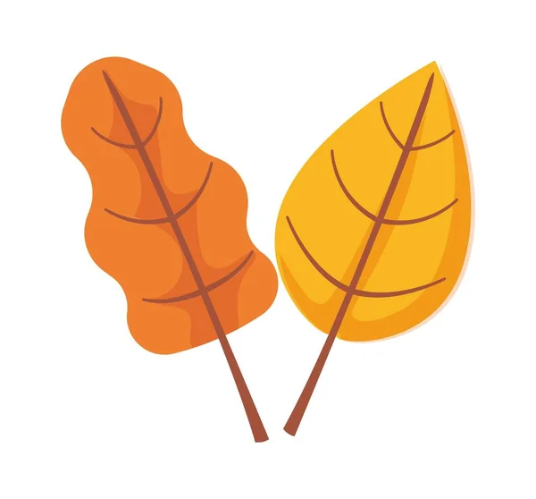 Clipart d'objet feuille d'automne. Icône en bouleau et chêne — Image vectorielle