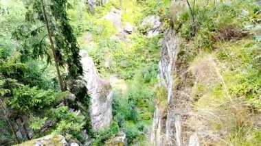 Çek Cumhuriyeti 'nin Bohemya Cenneti' nde Prachov Kayaları (Prahovske skaly) kumtaşı oluşumları