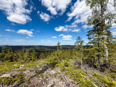 Çek Cumhuriyeti 'nin Brdy Dağları' ndaki Koruna Tepesi zirvesi. Dokunulmamış ormanların panoramik manzarası, yeşil tepeler ve doğal Orta Bohem manzarası.