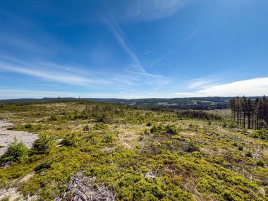 Çek Cumhuriyeti 'nin Brdy Dağları' nın eski askeri bölgesinde doğa ve orman manzarası. Huzurlu tepeler ve çayırlar doğa tarafından geri alındı..