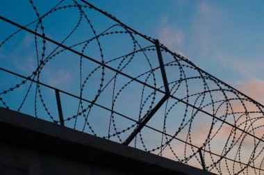 çit dikenli tel ile daireler th arka plan üzerine gerilmiş