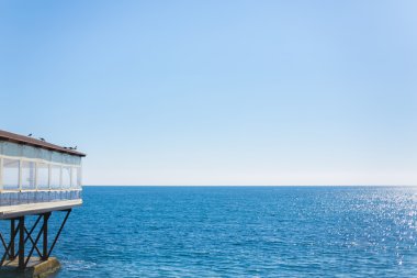 Deniz alanı kuş mavi