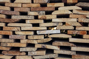 Birbirimizi ahşap kurullarında