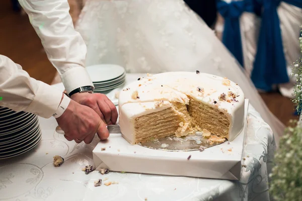 Bruid en bruidegom snijden de taart — Stockfoto