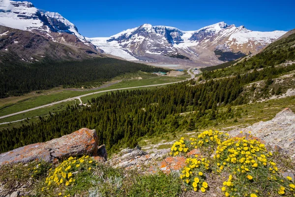 Wilcox Pass, ve Columbia Icefield, Jasper Ulusal Parkı, Al