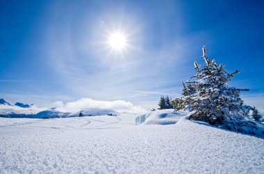 Kar, kış manzarasını güneş ve mavi gökyüzüyle kapladı.
