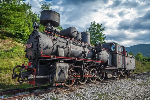 Tren de vapor Imagen de archivo