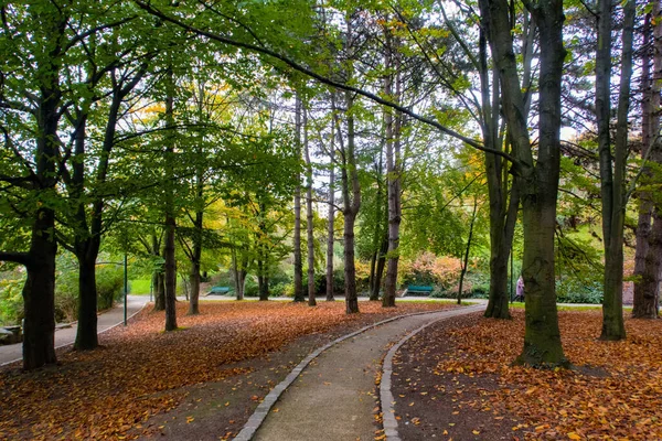 Autumn in the Parc Georges Brassens - Paris, France — Stock Photo, Image