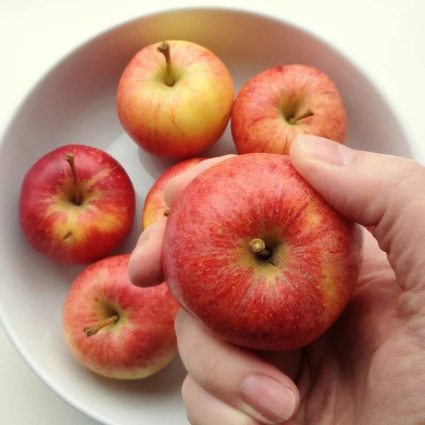 Et eple i hånden – stockfoto