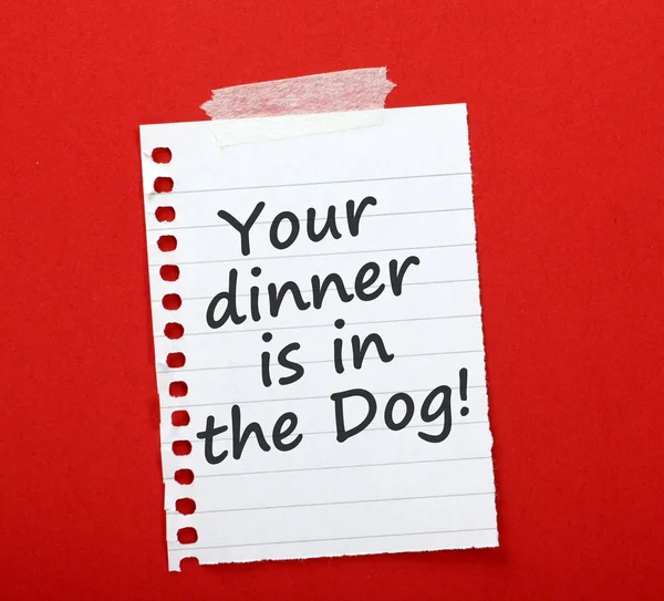 O teu jantar está no cão. ! — Fotografia de Stock