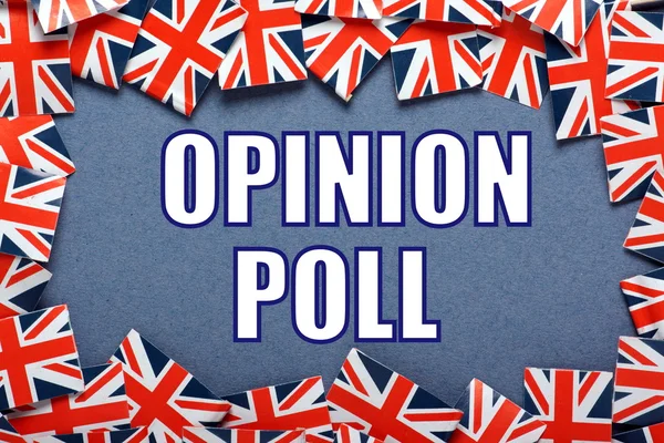 Opinion Poll — Stock Photo, Image