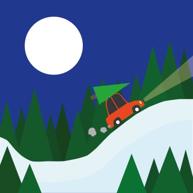 Noel 'de eve dönüyordum.