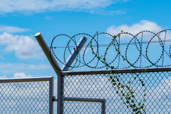 Gevangenisbeveiliging Hek Een Hek Met Prikkeldraad Scheermesdraad Hek Barrièregrens Veiligheidsmuur — Stockfoto