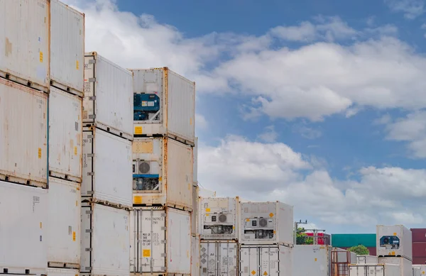 Containerlogistik Reefer För Leverans Fryst Mat Kylbehållare För Exportlogistik Godstransport — Stockfoto