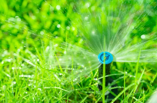 Automatic Lawn Sprinkler Watering Green Grass Sprinkler Automatic System Garden — Stock Photo, Image