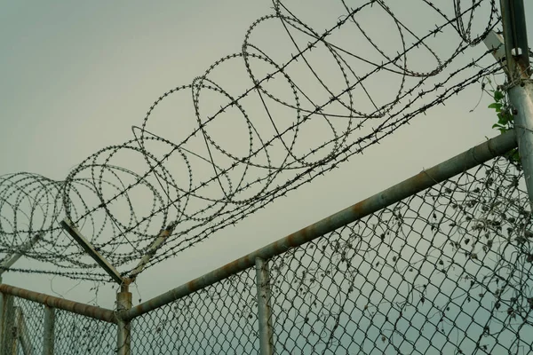 Gevangenisbeveiliging Hek Een Hek Met Prikkeldraad Scheermesdraad Hek Barrièregrens Veiligheidsmuur — Stockfoto