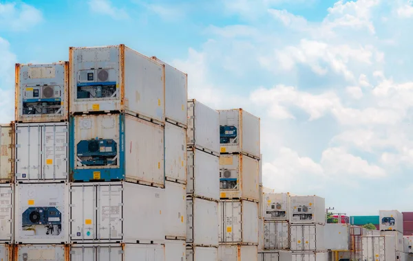 Containerlogistik Reefer För Leverans Fryst Mat Kylbehållare För Exportlogistik Godstransport — Stockfoto