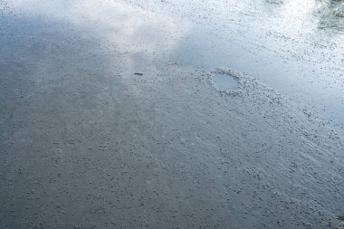Mangrove sulak arazi çamur yüzeyi doğal karbon yakalama ve depolama sistemi görevi görüyor. Mavi karbon çökeltisi, iklim değişikliği azaltma süreci. Uzun vadeli çevresel sürdürülebilirlikte kıyı ekosistemleri.