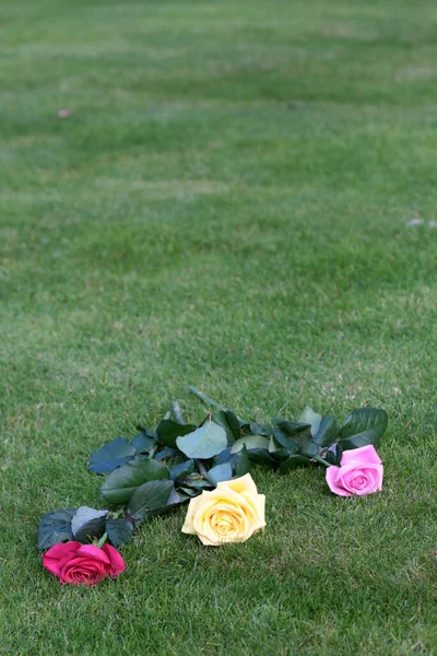 ヨーロッパだ フランスだ フランス フランス出身 パリだ 2012年8月2日 このカラフルなイメージは 記念の庭に堆積したバラを描いています ここラカイズ墓地 — ストック写真