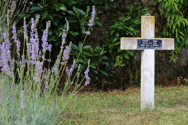 Europa Frankrijk Seine Marne Coulommiers 2012 Deze Kleurrijke Afbeelding Toont — Stockfoto