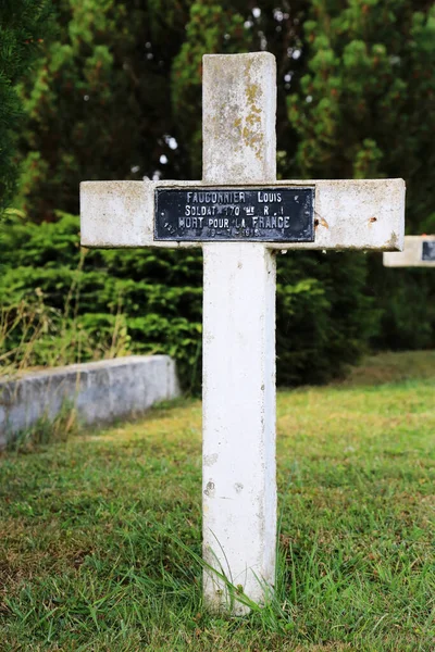 Europa Frankrijk Seine Marne Coulommiers 2012 Deze Kleurrijke Afbeelding Toont — Stockfoto