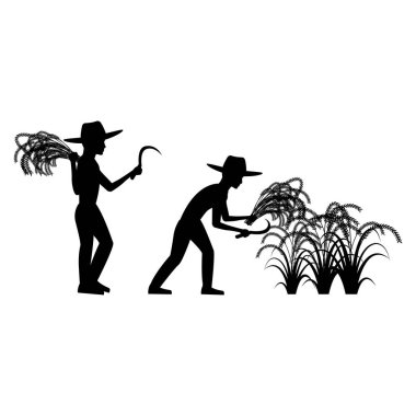 Siyah siluet tasarımı, insanların izole edilmiş beyaz arkaplanı, pirinç hasadı.