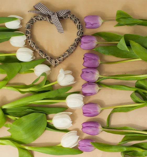 White and violet tulips on the table with heart — Stock Photo, Image