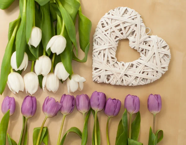 White and violet tulips on the table with heart — Stock Photo, Image