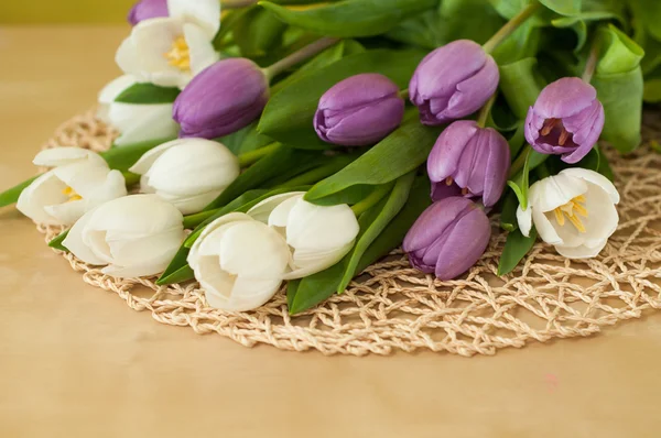 Witte en violet tulpen op tafel — Stockfoto