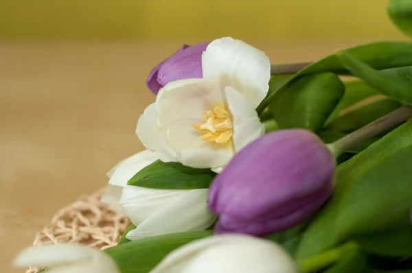 Witte en violet tulpen op tafel — Stockfoto