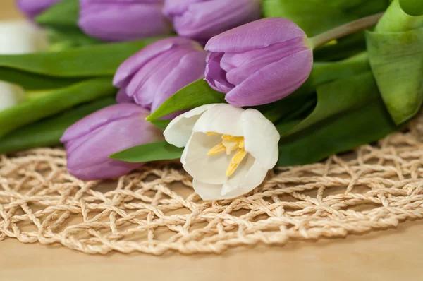 Białe i fioletowe tulipany na stole — Zdjęcie stockowe