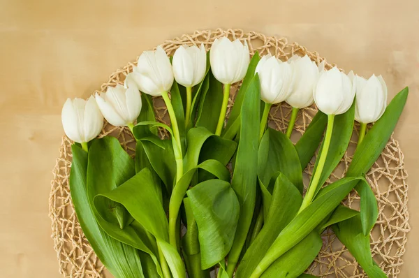 Witte en violet tulpen op tafel — Stockfoto